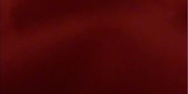 Poshmark banner for @youngekko